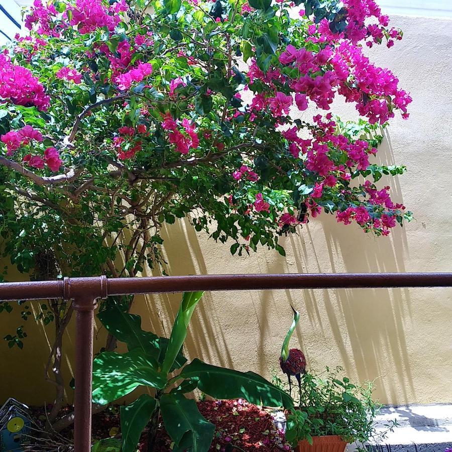 Cozy Nest Apartment Guayama Ngoại thất bức ảnh
